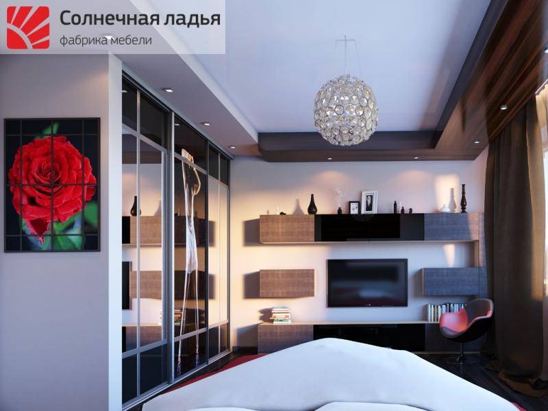 шкаф - купе фотопечать 9 в Вологде