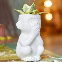 горшок для растений eco молчун в Вологде