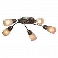 потолочная люстра lussole cevedale grlsq-6907-05 в Вологде