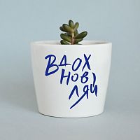 набор для выращивания eco мини-кашпо «вдохновляй» в Вологде