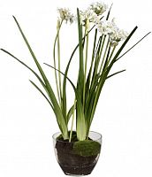 декор allium в Вологде