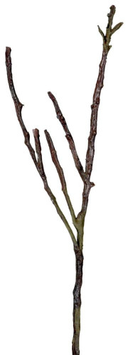 декор dry branches в Вологде