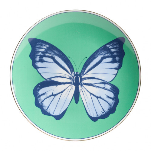 тарелка butterfly малая в Вологде