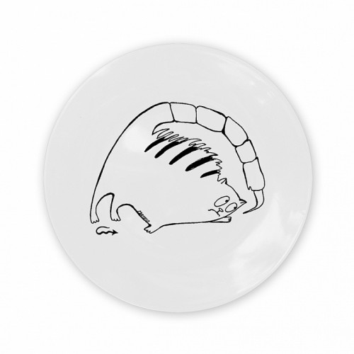 тарелка кот-скорпион в Вологде