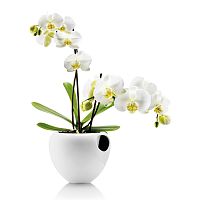 горшок для орхидеи orchid pot белый в Вологде