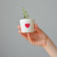 набор для выращивания eco мини-кашпо «сердце» в Вологде