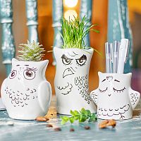 горшки для растений eco совы, 3 шт в Вологде