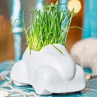 набор для выращивания eco машина в Вологде