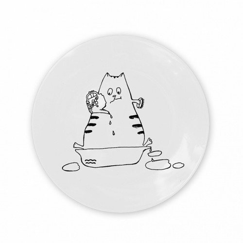 тарелка кот-водолей в Вологде