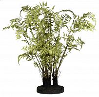 декор ferns в Вологде