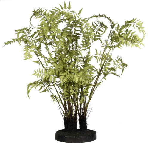 декор ferns в Вологде