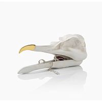 шкатулка для украшений bird skull (белый) в Вологде