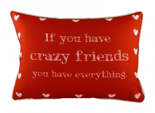подушка с надписью crazy friends в Вологде