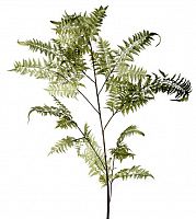 декор fl12056 (giant fern) в Вологде