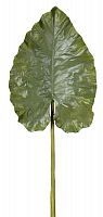 декор giant taro leaf в Вологде