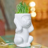 горшок для растений eco игнорик в Вологде