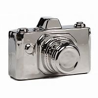 предмет декора camera серебряная в Вологде
