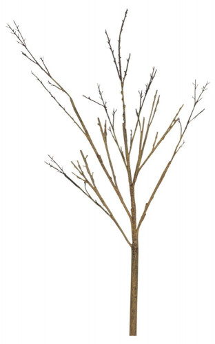 декор twig stem в Вологде