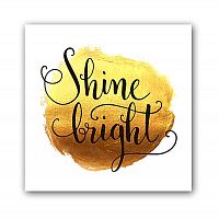 постер shine а3 в Вологде