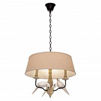 подвесная люстра loft it loft1029a-2 в Вологде