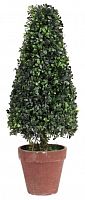 искусственное дерево в горшке topiary в Вологде