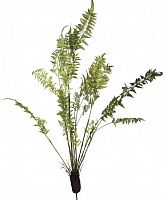 декор fern plant в Вологде