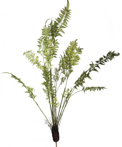декор fern plant в Вологде